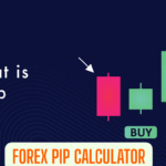 Forex Pip Calculator